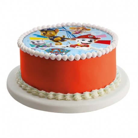 Disque Azyme Pat Patrouille - Décoration Gâteau 20cm - Mod1 - 022-1 -  Cdiscount Au quotidien