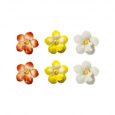 6 décors en sucre "orchidées"