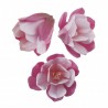 6 magnolias roses en azyme