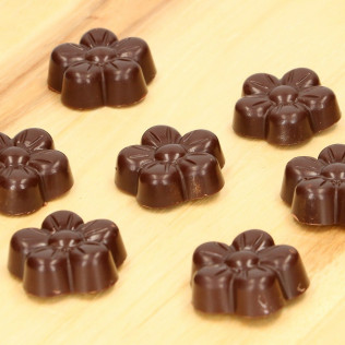 Moule pour chocolats "fleurs" - 27 x 14 x 2,5 cm